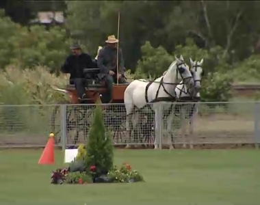 Lovasnapok Lukácsházán Lovasnapok Lukácsházán