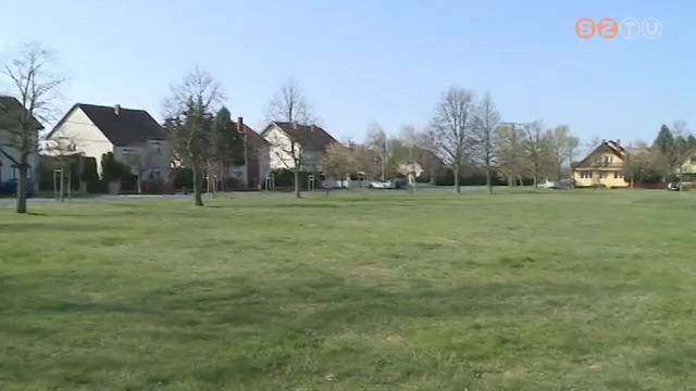 Focipályából tölgyes Focipályából tölgyes