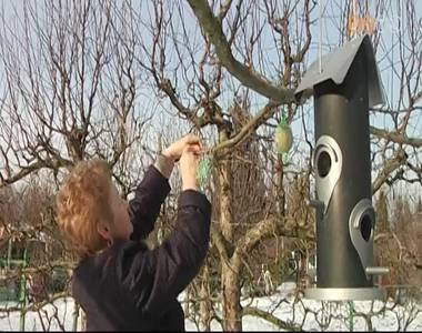 Cs�kkenhet a k�rtev�k mennyis�ge