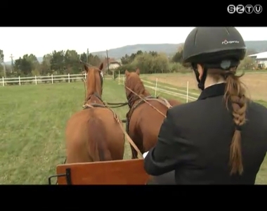 A lov�sz szakma legjobb tanul�i versenyeztek a h�ten K�szegen
