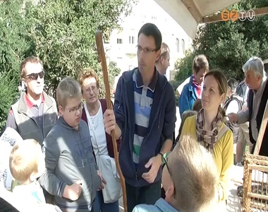 Múzsák kertje Múzsák kertje