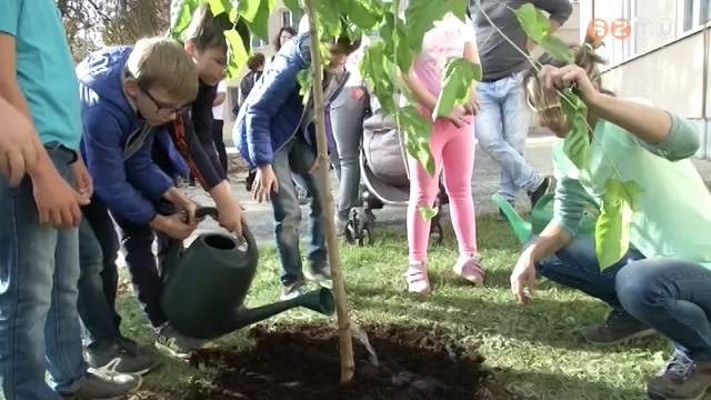 Szombathelyen is zászlót bontott a 10 millió Fa környezetvédelmi szervezet Szombathelyen is zászlót bontott a 10 millió Fa környezetvédelmi szervezet