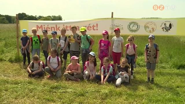 Miénk itt a rét Miénk itt a rét