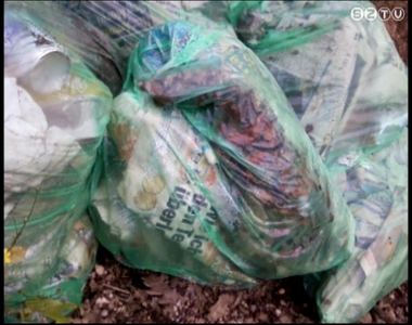 Osztrák szemét magyar erdőben Osztrák szemét magyar erdőben