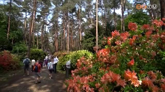 Kinyit a Jeli Arborétum Kinyit a Jeli Arborétum