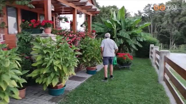 Lezárult a Virágos Magyarország idei versenye Lezárult a Virágos Magyarország idei versenye