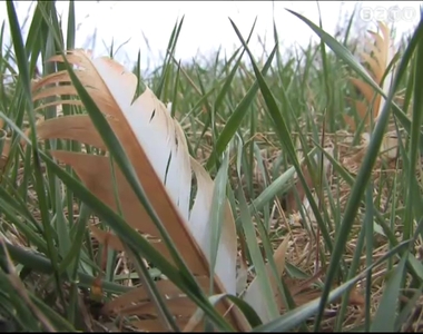 T�bbsz�z ty�ktetemet tal�ltak