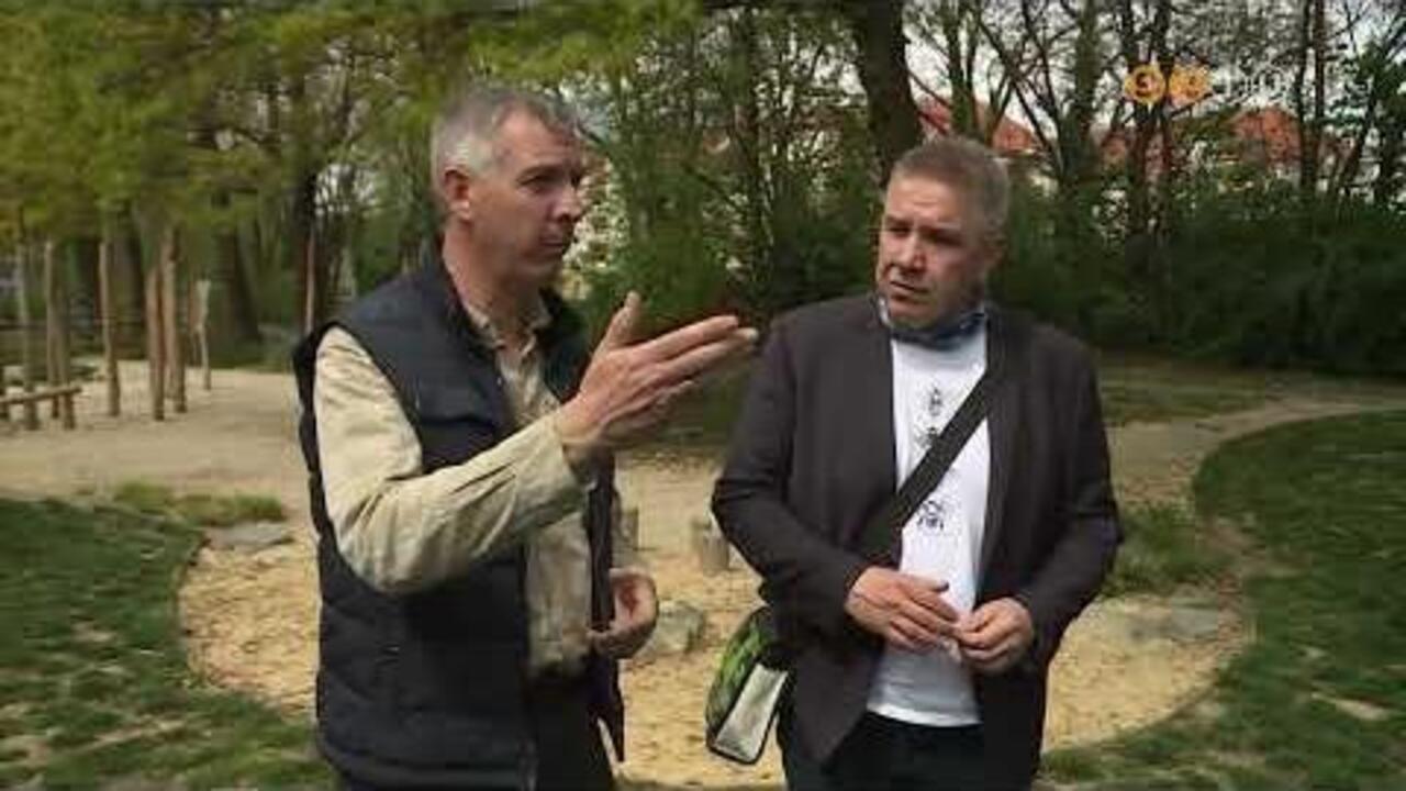 A legt�bb v�rosban cs�kken a z�ldfel�let, Szombathely kett�s helyzetben van