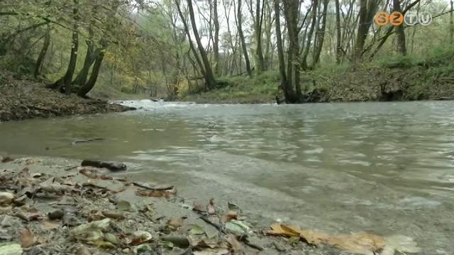 Osztrák-magyar ökológiai program a Pinkán Osztrák-magyar ökológiai program a Pinkán