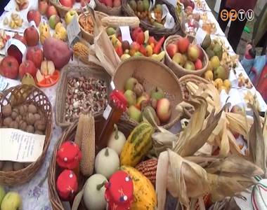 A Gy�m�lcs�szh�l� program eredm�nyei