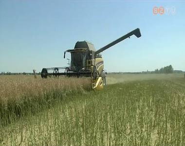 Gabona-betakar�t�s