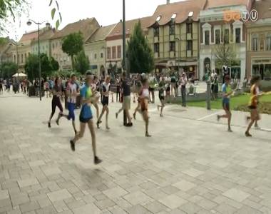 Alpok Adria T�jfut� Kupa