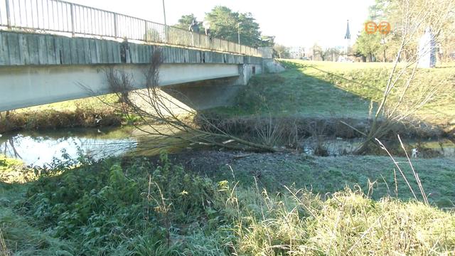 H�dok d�nt�ttek f�kat a mederbe a Perint oladi szakasz�n