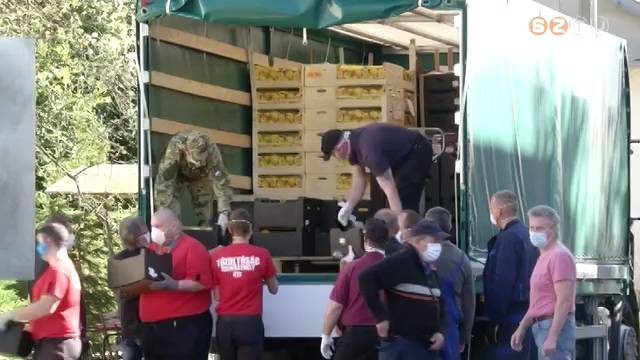 Hatalmas gyümölcsadomány Hatalmas gyümölcsadomány