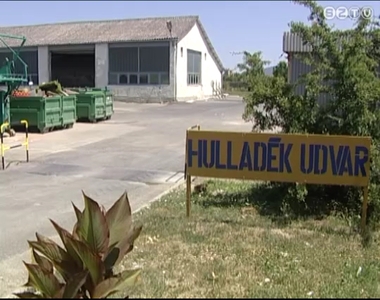 Ingyenes hulladéklerakás Szombathelyen Ingyenes hulladéklerakás Szombathelyen