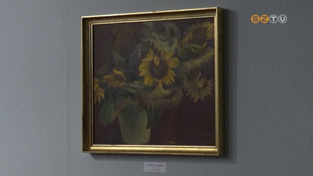 Megjelent a vasi alkotmvszeket bemutat sorozat legjabb ktete