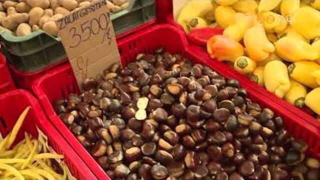 Nagy a vlasztk a Vsrcsarnokban szi termnyekbl