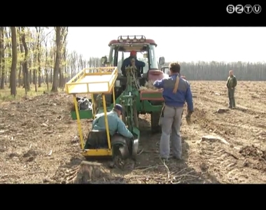 K�zel 270 hekt�ron v�gez erd�s�t�st tavasszal a Szombathelyi Erd�szeti Zrt.