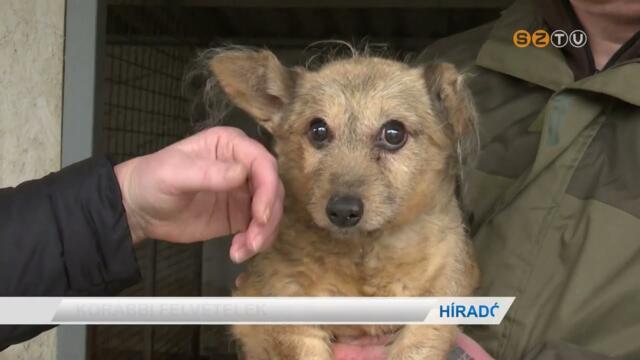 2. alkalommal szervezett rkbefogad nylt napot az llategszsggyi s Ebrendszeti Szolglat