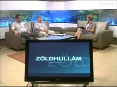 Z�ldhull�m - 2012. j�lius 26.