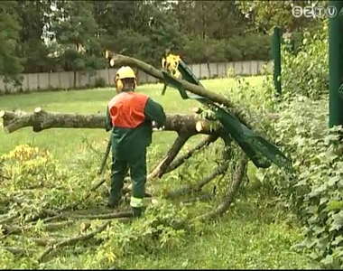 F�kat d�nt�tt ki, �gakat t�rt le a viharos sz�l Szombathelyen