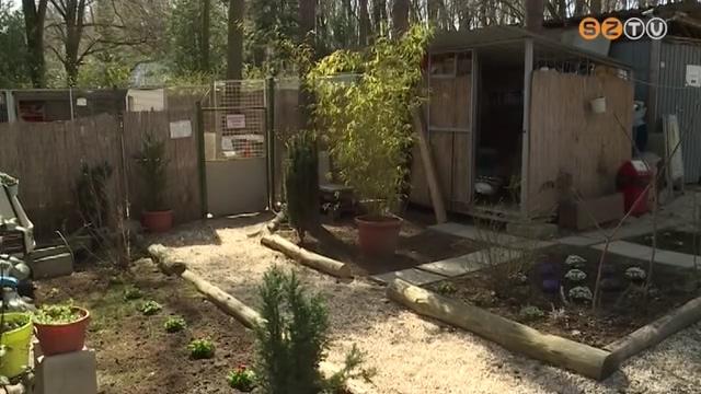 Példaértékű állatmenhely Példaértékű állatmenhely