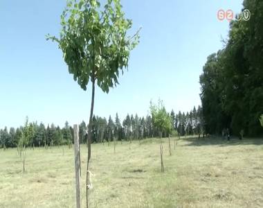 Erd�szeti g�nbank