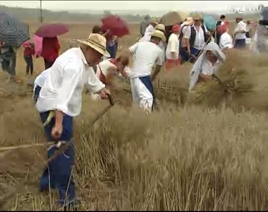 Kézi kaszás bemutatóval is ünnepeltek a bükiek a hétvégi aratófesztiválon Kézi kaszás bemutatóval is ünnepeltek a bükiek a hétvégi aratófesztiválon