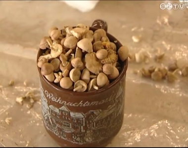 Kezd�dik a gombaszezon