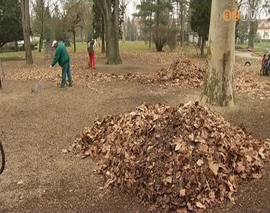 Avart gerebly�znek a k�zmunk�sok