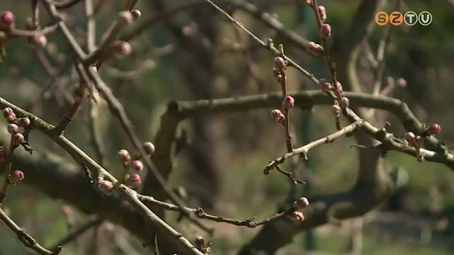 Éledeznek a kiskertek Éledeznek a kiskertek