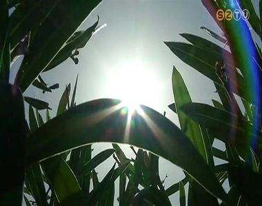 OMSZ: Tikkaszt� h�s�gre kell sz�m�tani p�ntekig