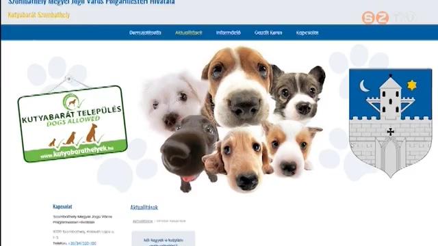 Kutyabarát honlap indult Kutyabarát honlap indult