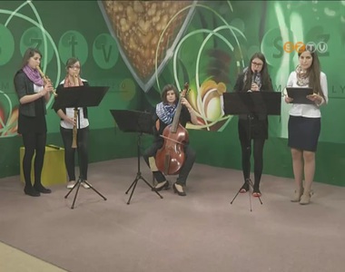 M�hely - 2013. �prilis 9.