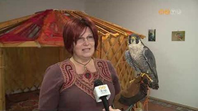 A solymászattal, őseink múltjával ismerkedhettek meg a gyerekek a Weöres Sándor Óvodában A solymászattal, őseink múltjával ismerkedhettek meg a gyerekek a Weöres Sándor Óvodában