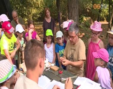 21 cs�kszeredai kisdi�kot l�t vend�g�l id�n is a Szombathelyi Erd�szeti Zrt.