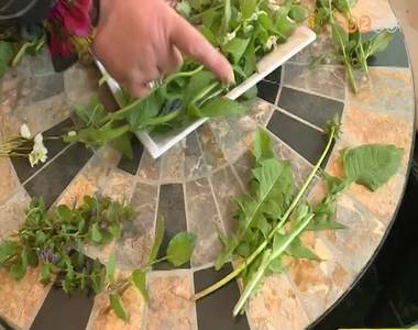 Elkezd�d�tt a gy�gyn�v�nygy�jt�s szezonja