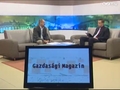 Gazdasagi magazin - 2011. szeptember 14.