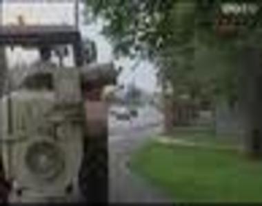 Kutyafuttat�k fert�tlen�t�se