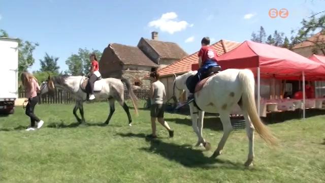 A szabadtri s kzssgi programokat rszestik elnyben idn a tborokat szervez intzmnyek