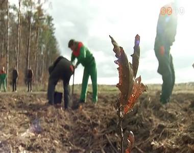 Komoly erd�s�t�st v�gez az erd�szet