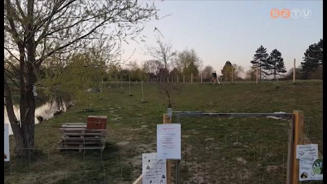 Egyelőre nem nyit ki a kutyastrand Egyelőre nem nyit ki a kutyastrand