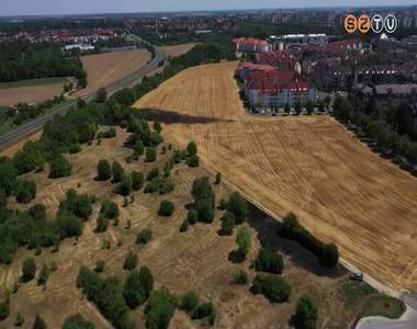 Tarlótűz pusztított kedden a 89-es főút mentén, az oladi körgyűrű mellett Tarlótűz pusztított kedden a 89-es főút mentén, az oladi körgyűrű mellett