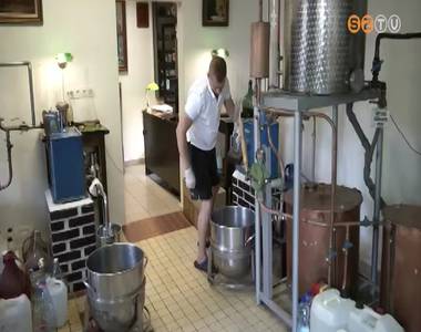 Hossz� v�r�list�k a p�linkaf�zd�kben