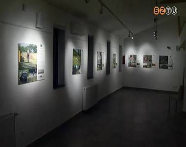 �rz�k - K�z�sen a term�szetv�delem�rt