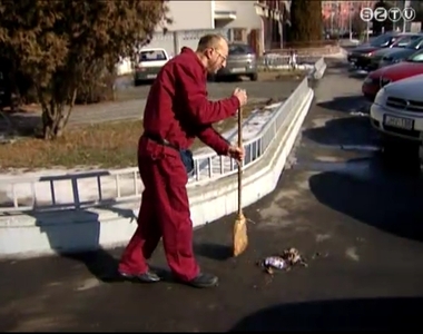 K�zfoglalkoztat�s keret�ben t�bbeknek ad munkalehet�s�get a rend�rs�g