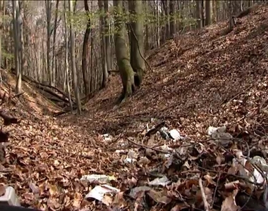 Kié a szemét? Kié a szemét?