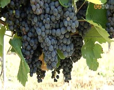 Kor�bban kezd�dik a sz�ret