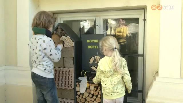 Március 10. a beporzó rovarok napja Március 10. a beporzó rovarok napja