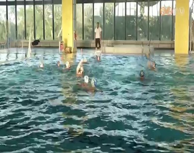 Domin�-AVUS ez�st�rem